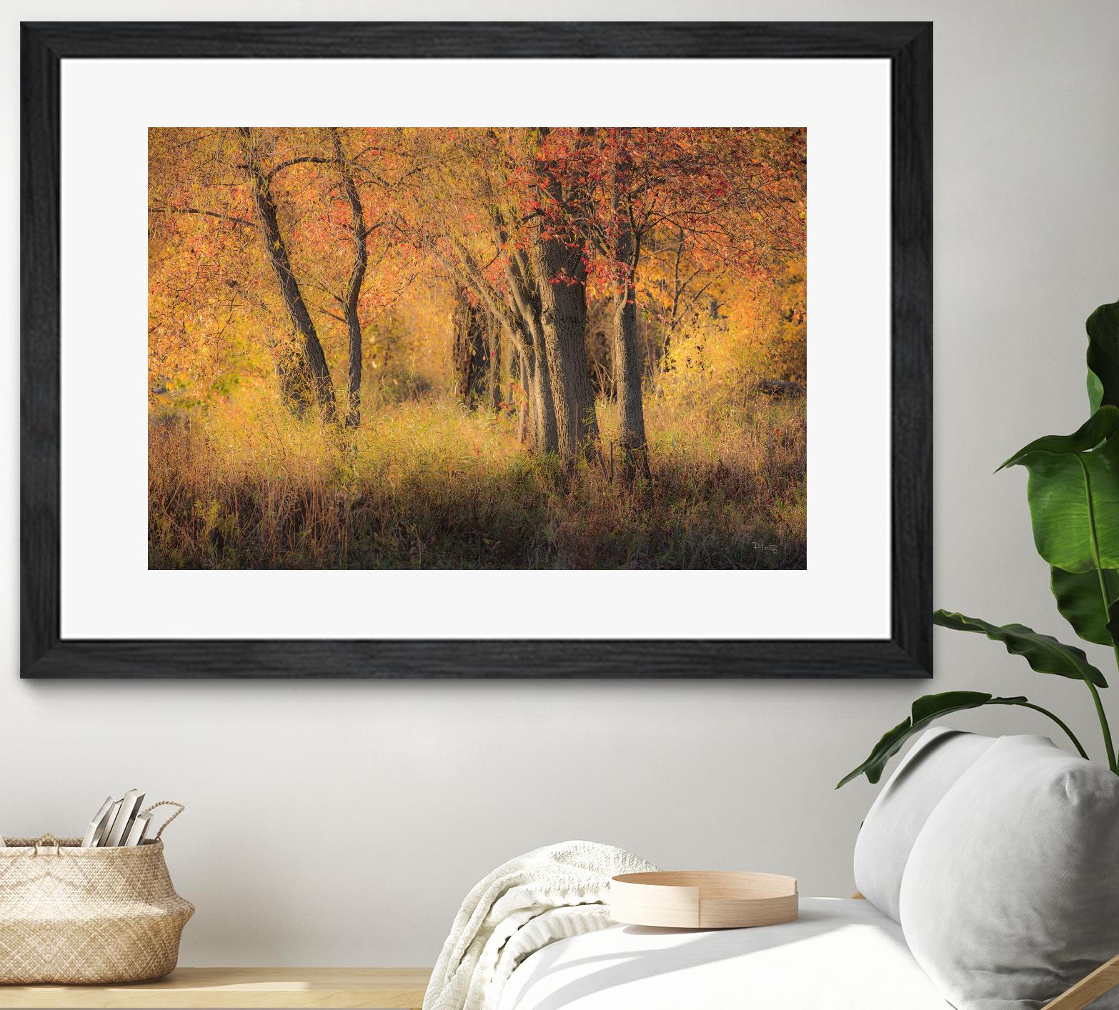 The Other Side by Matthew Platz on GIANT ART - multicolor photography; landscapes