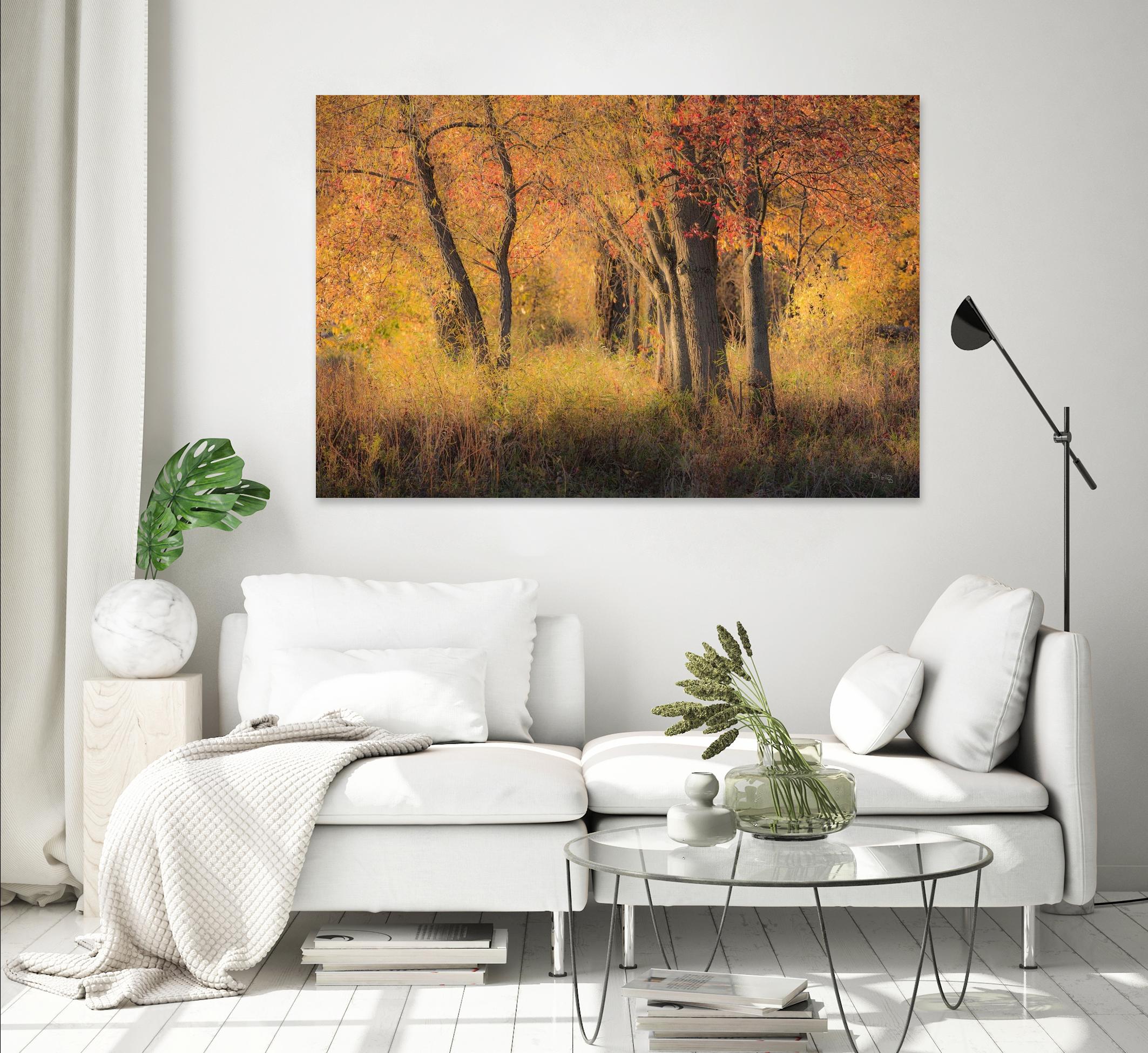 The Other Side by Matthew Platz on GIANT ART - multicolor photography; landscapes