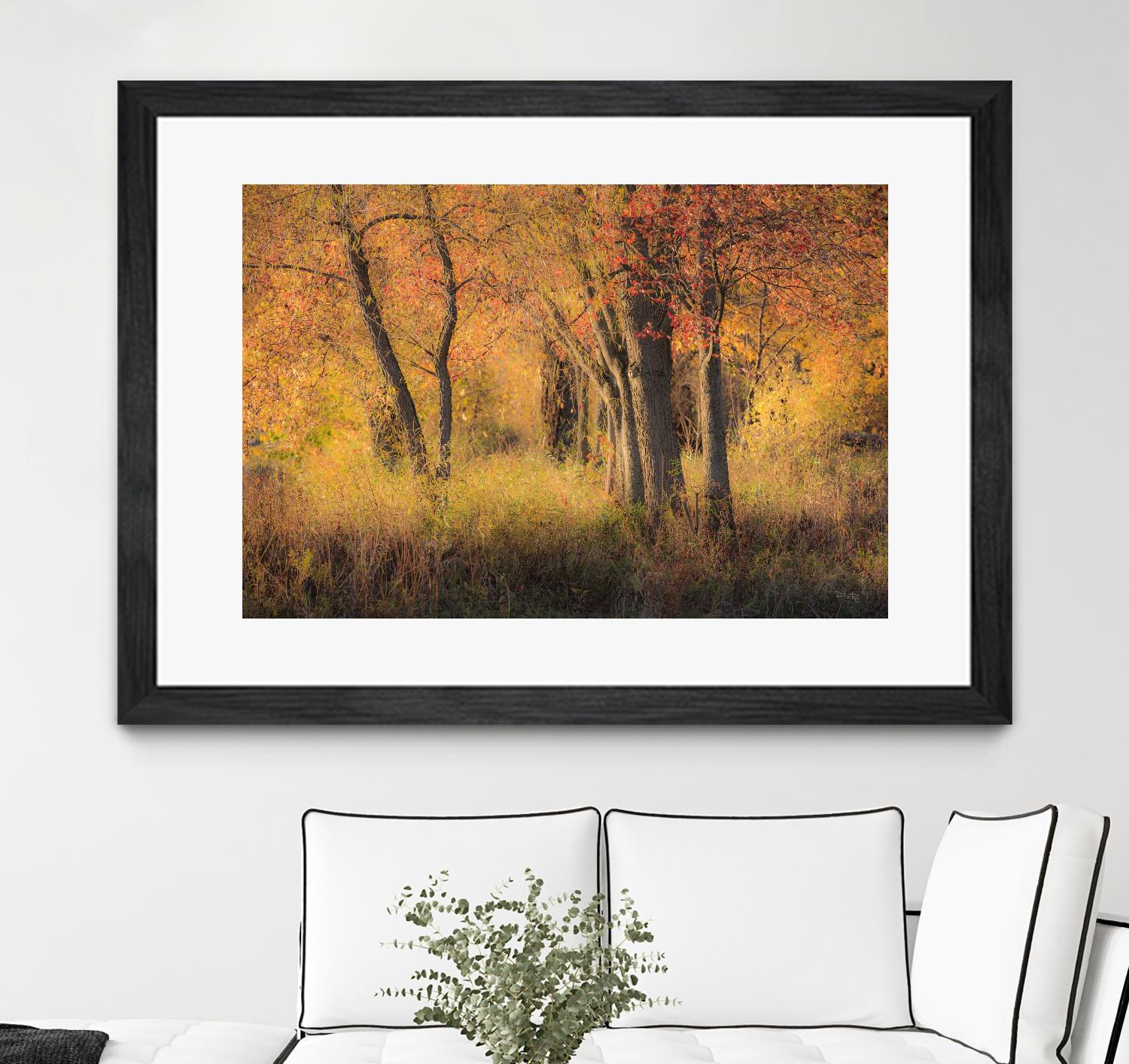 The Other Side by Matthew Platz on GIANT ART - multicolor photography; landscapes