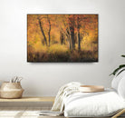 The Other Side by Matthew Platz on GIANT ART - multicolor photography; landscapes