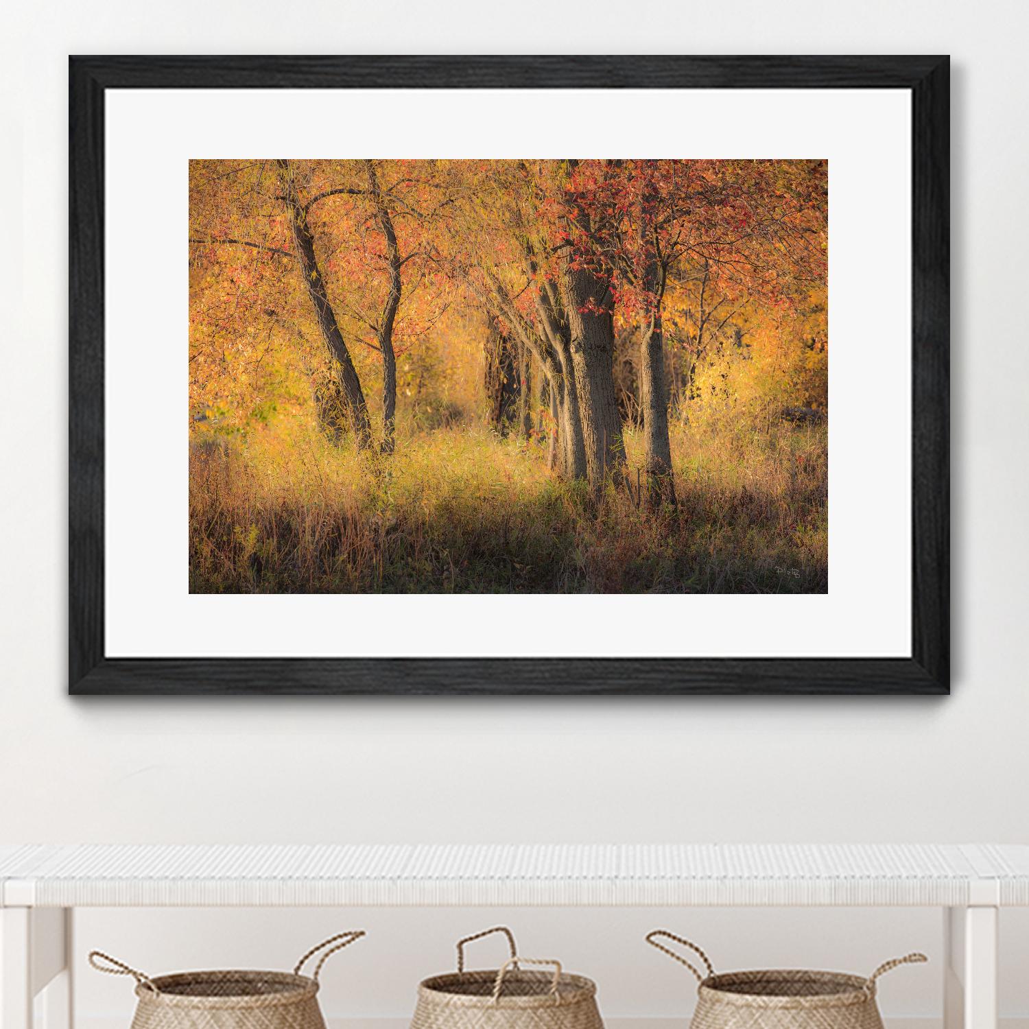 The Other Side by Matthew Platz on GIANT ART - multicolor photography; landscapes