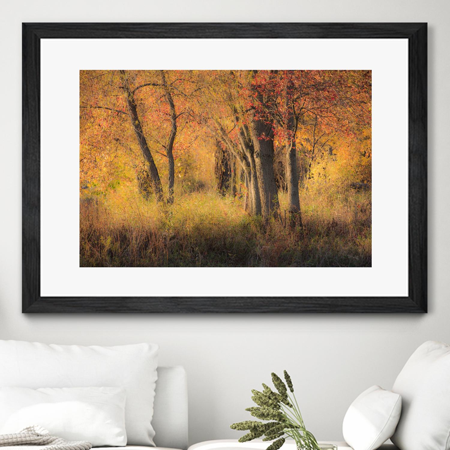 The Other Side by Matthew Platz on GIANT ART - multicolor photography; landscapes