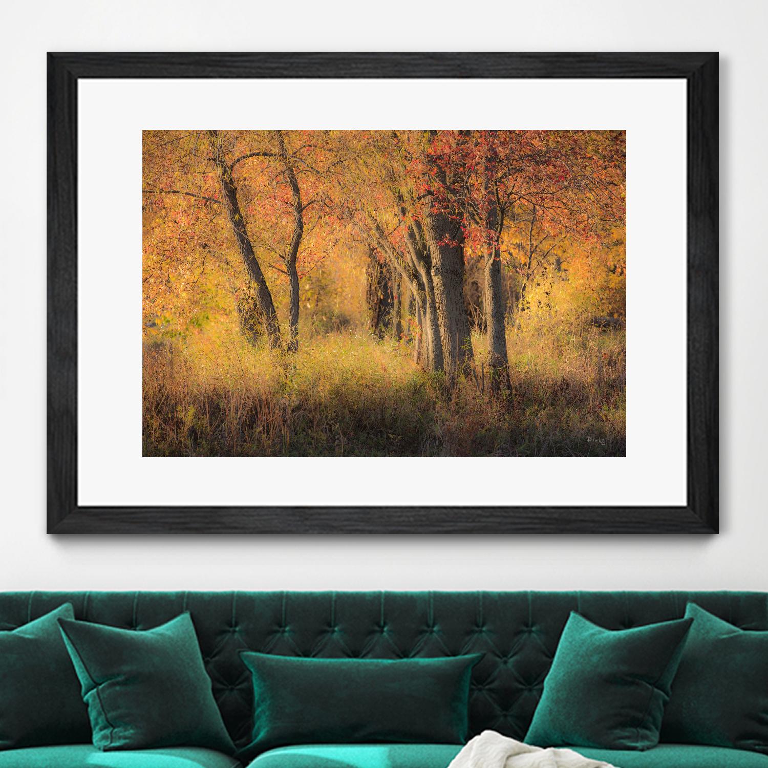 The Other Side by Matthew Platz on GIANT ART - multicolor photography; landscapes