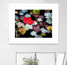 Autumn Leaves by David W. Pollard on GIANT ART - multicolor photography; contemporary
