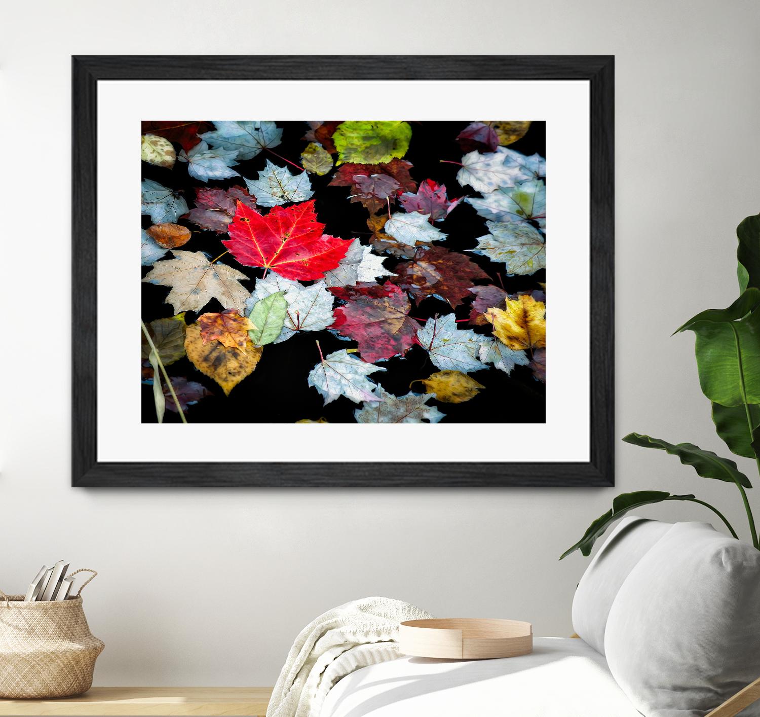 Autumn Leaves by David W. Pollard on GIANT ART - multicolor photography; contemporary