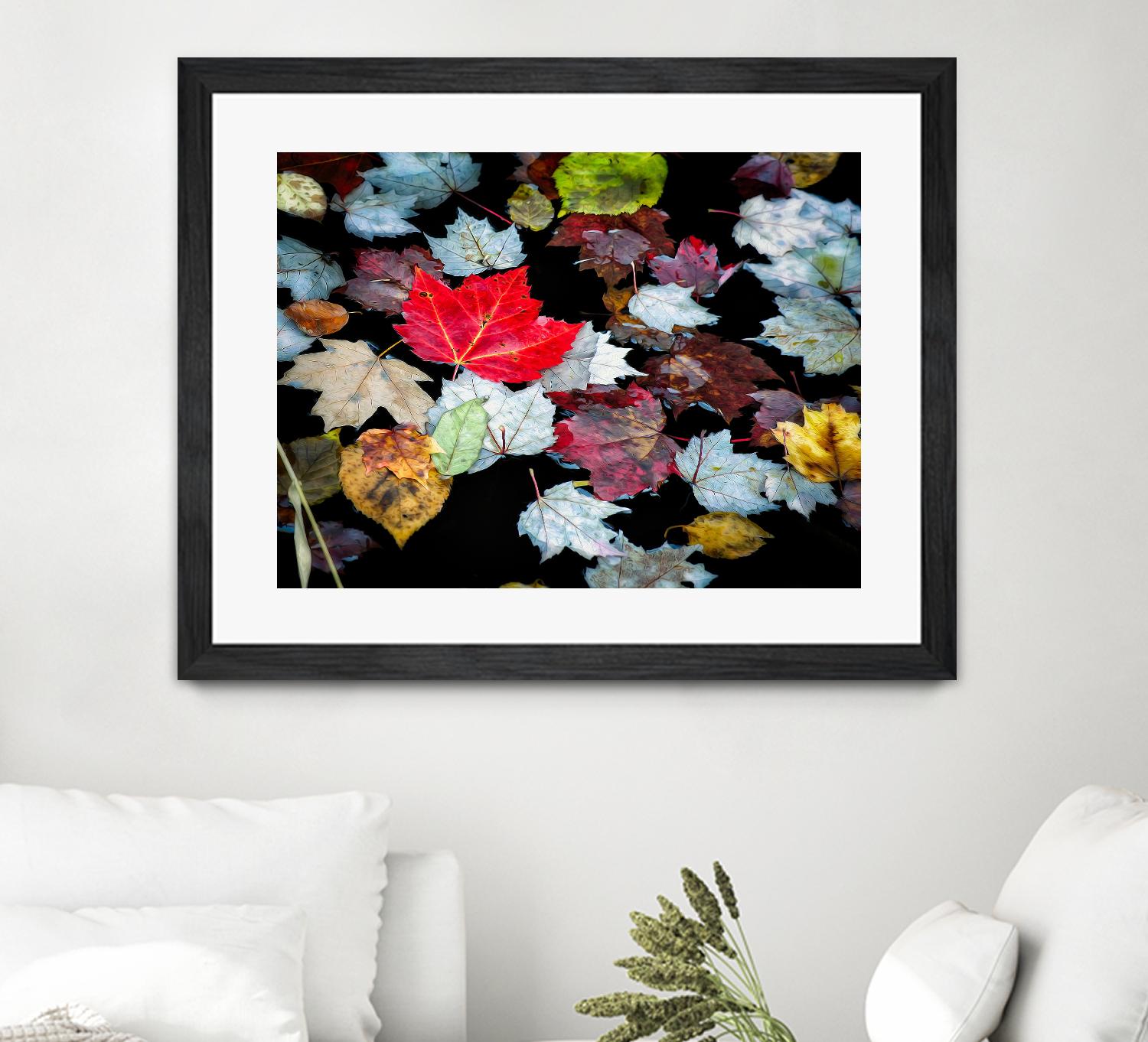 Autumn Leaves by David W. Pollard on GIANT ART - multicolor photography; contemporary