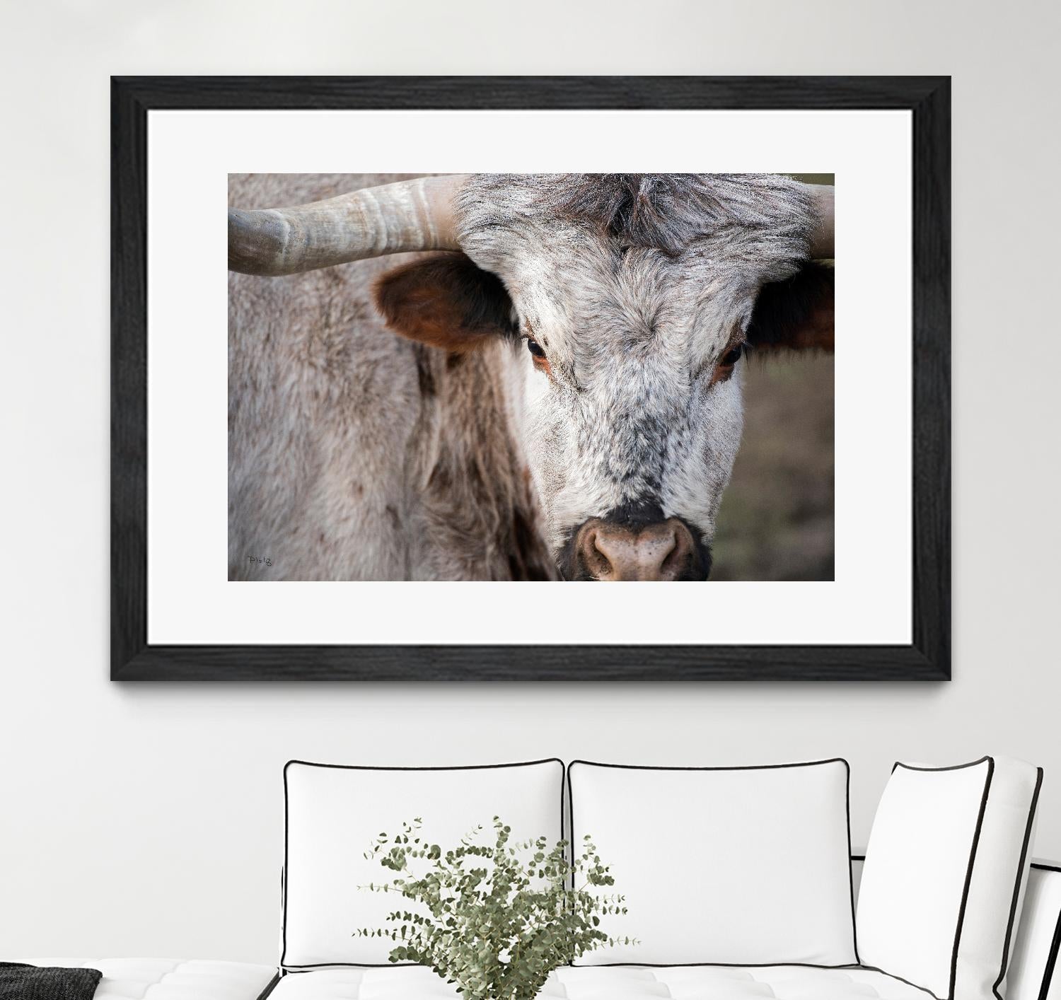 Showdown by Matthew Platz on GIANT ART - multicolor animals; photography