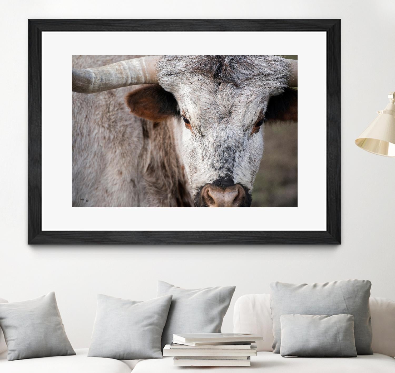 Showdown by Matthew Platz on GIANT ART - multicolor animals; photography
