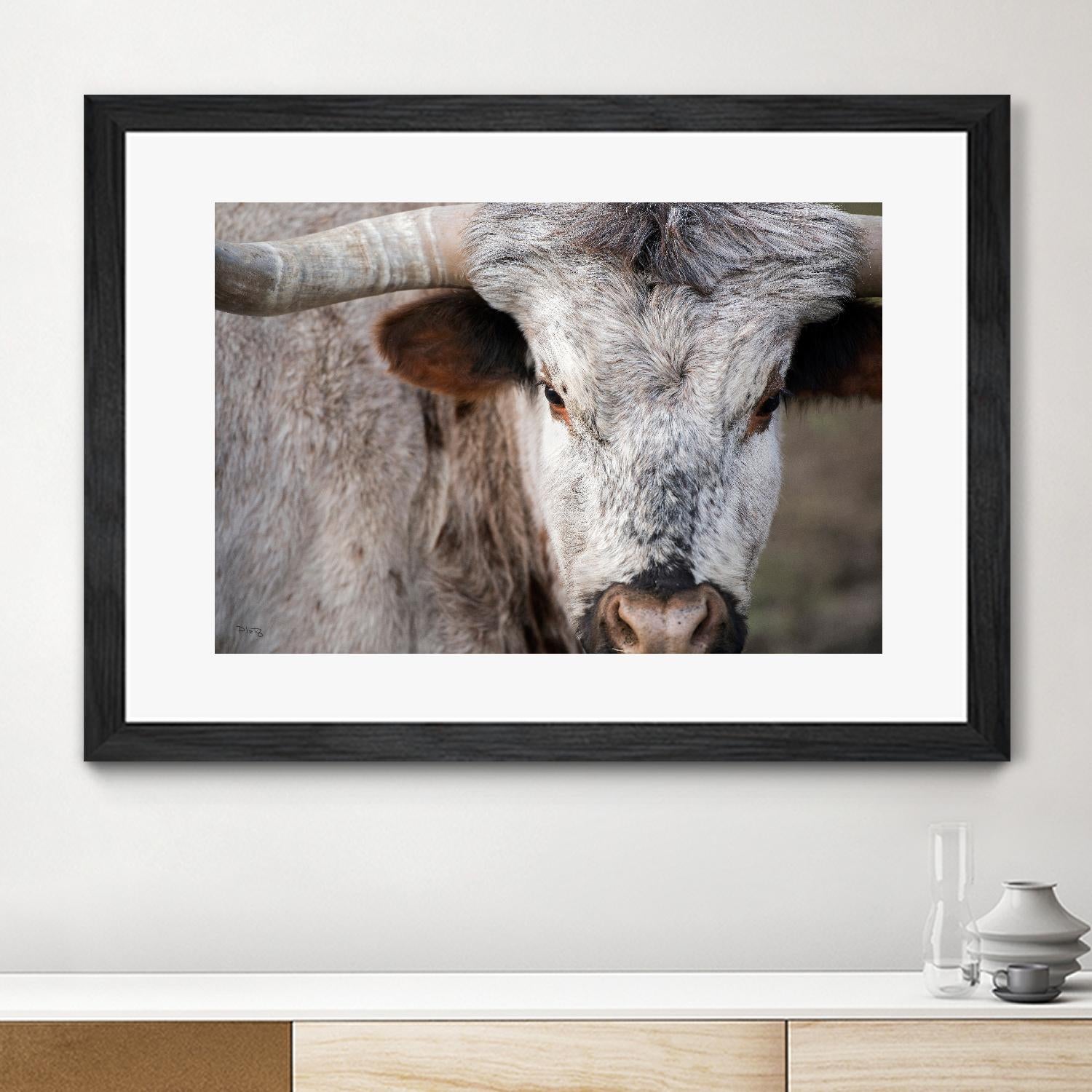 Showdown by Matthew Platz on GIANT ART - multicolor animals; photography