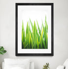 Blades of Green No. 2 by Sonja Quintero on GIANT ART - green floral/still life, photography