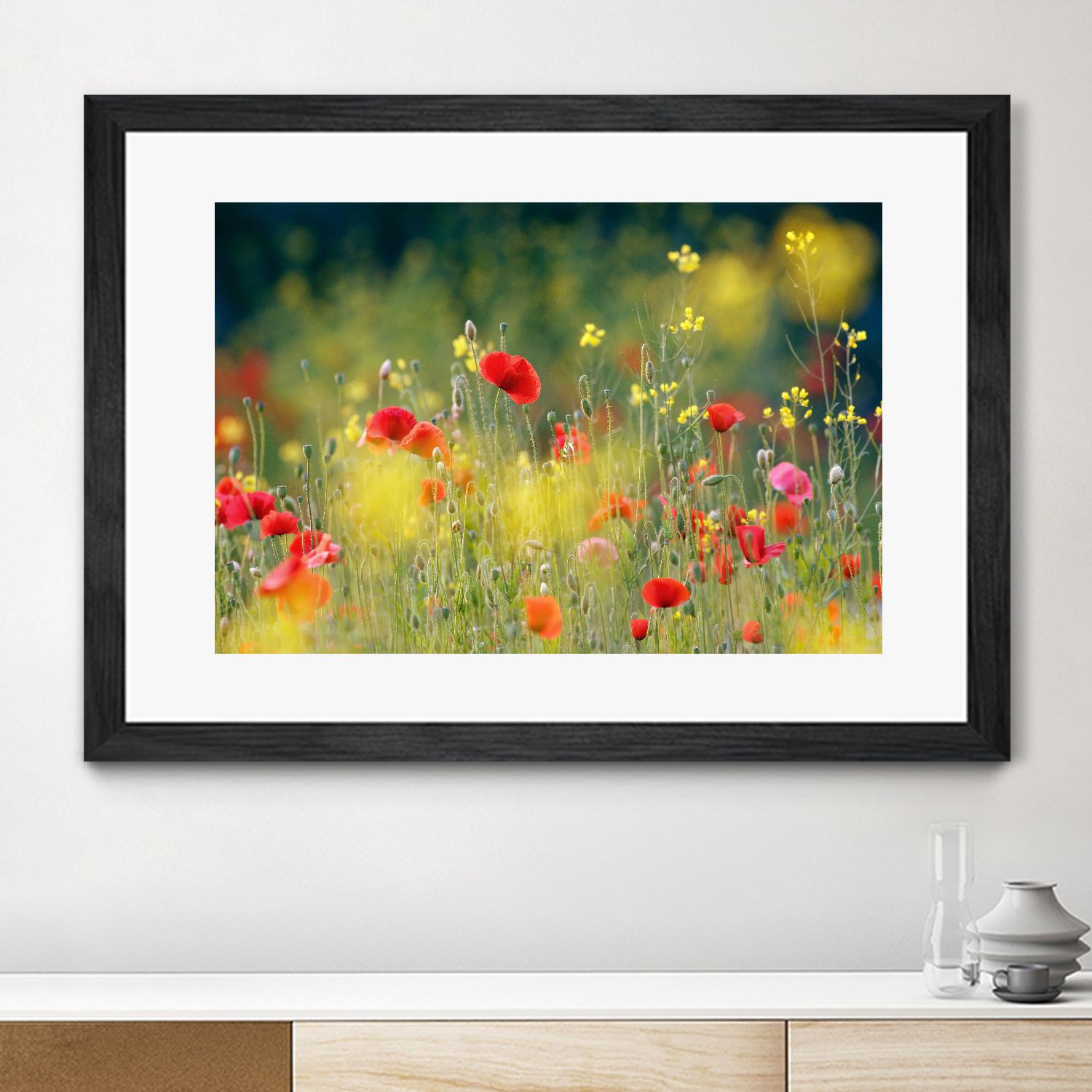 Just a Perfect Day by Roeselien Raimond on GIANT ART - multicolor photography; floral/still life; landscapes