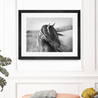 Fierce Grace by Tony Stromberg on GIANT ART - multicolor animals; photography