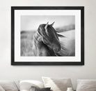 Fierce Grace by Tony Stromberg on GIANT ART - multicolor animals; photography