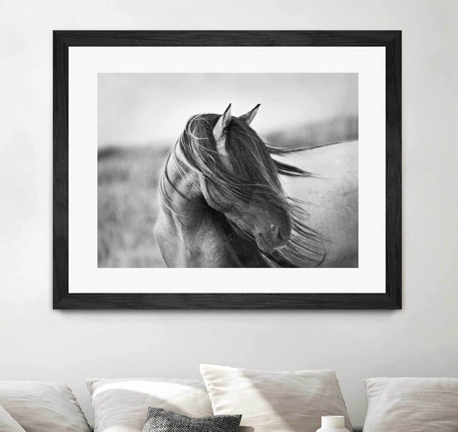 Fierce Grace by Tony Stromberg on GIANT ART - multicolor animals; photography