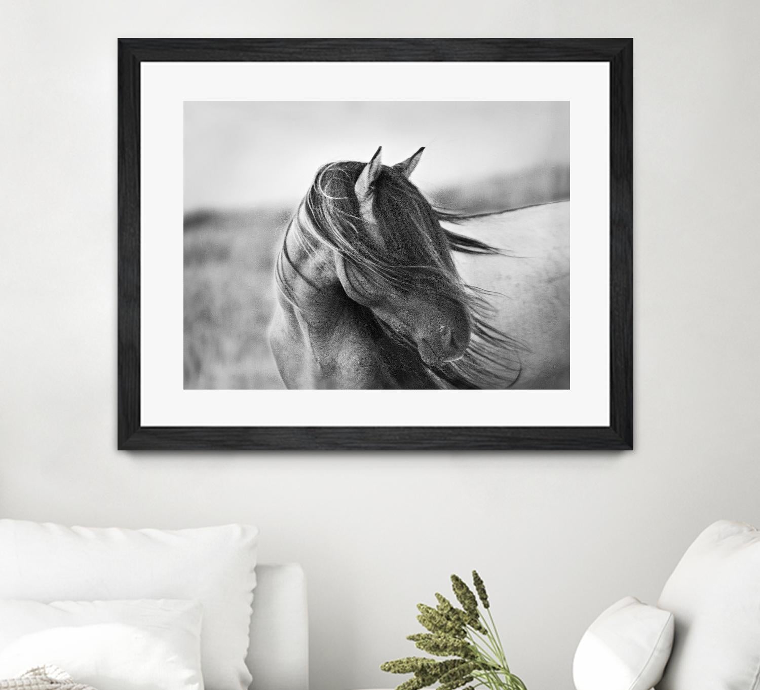 Fierce Grace by Tony Stromberg on GIANT ART - multicolor animals; photography