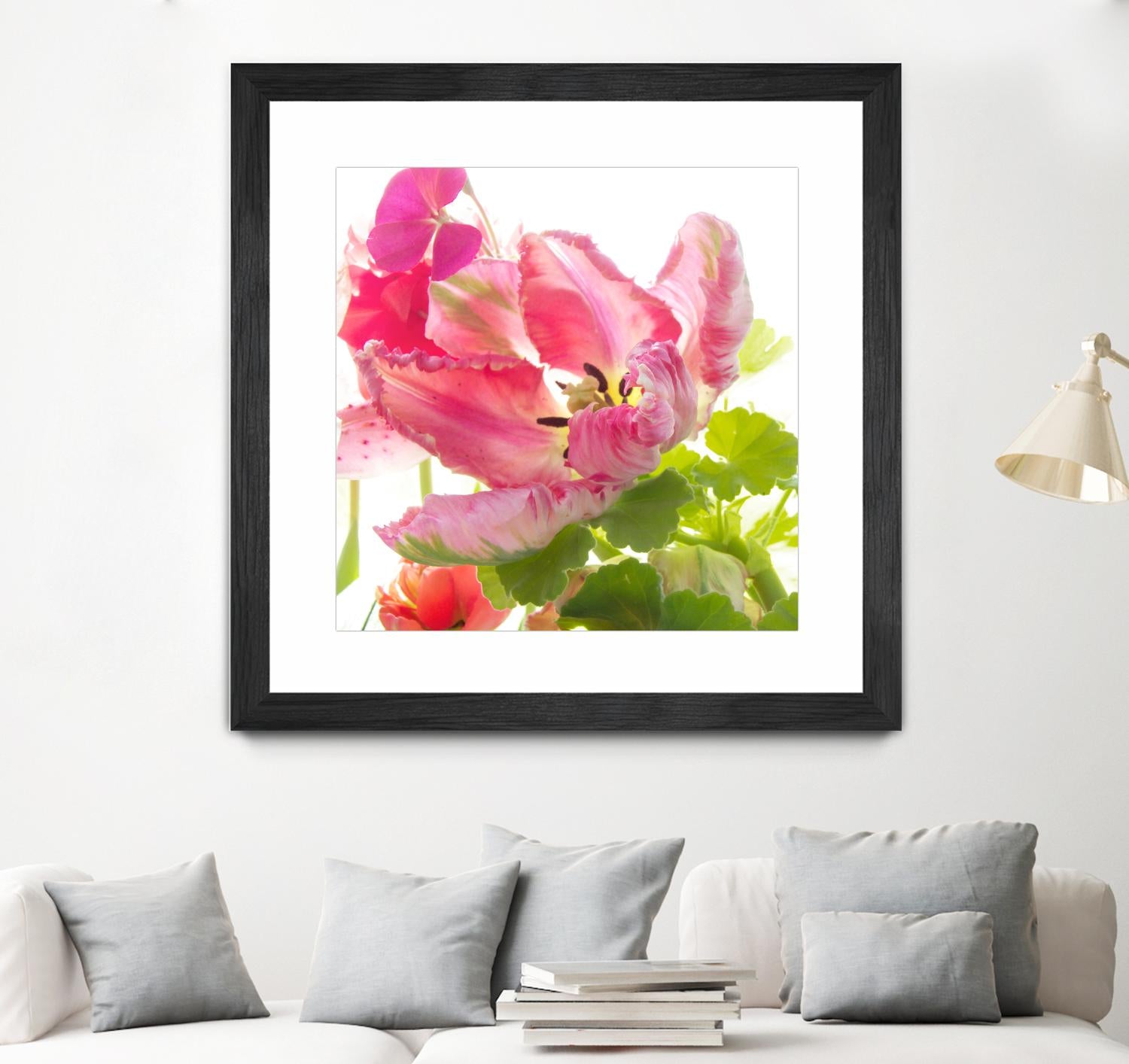 Parrot Tulip One by Judy Stalus on GIANT ART - multicolor photography; floral/still life