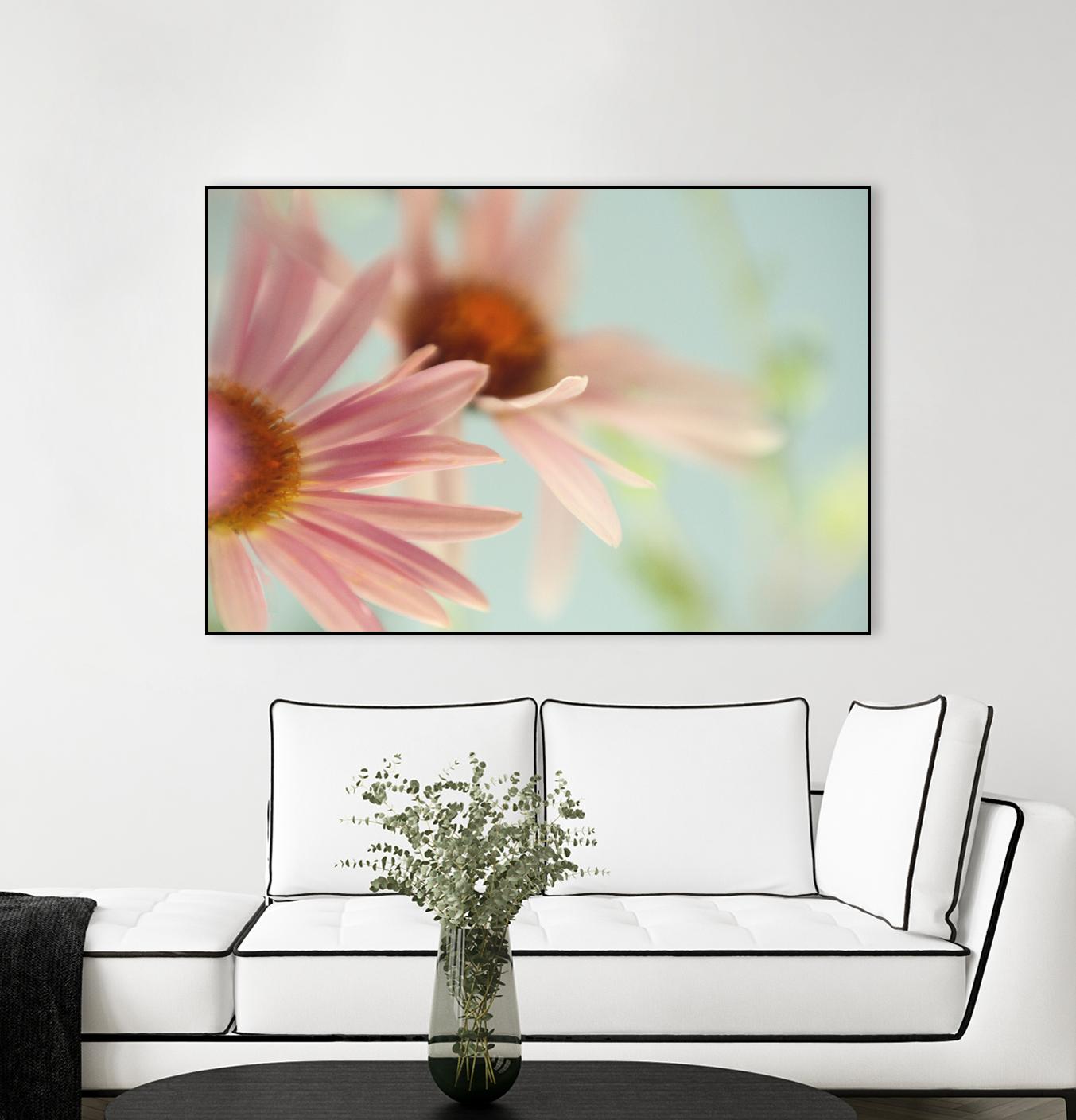 Daisy Days by Judy Stalus on GIANT ART - multicolor photography; floral/still life