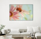 Daisy Days by Judy Stalus on GIANT ART - multicolor photography; floral/still life