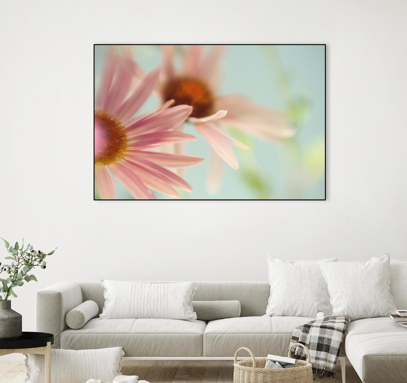 Daisy Days by Judy Stalus on GIANT ART - multicolor photography; floral/still life