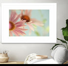 Daisy Days by Judy Stalus on GIANT ART - multicolor photography; floral/still life