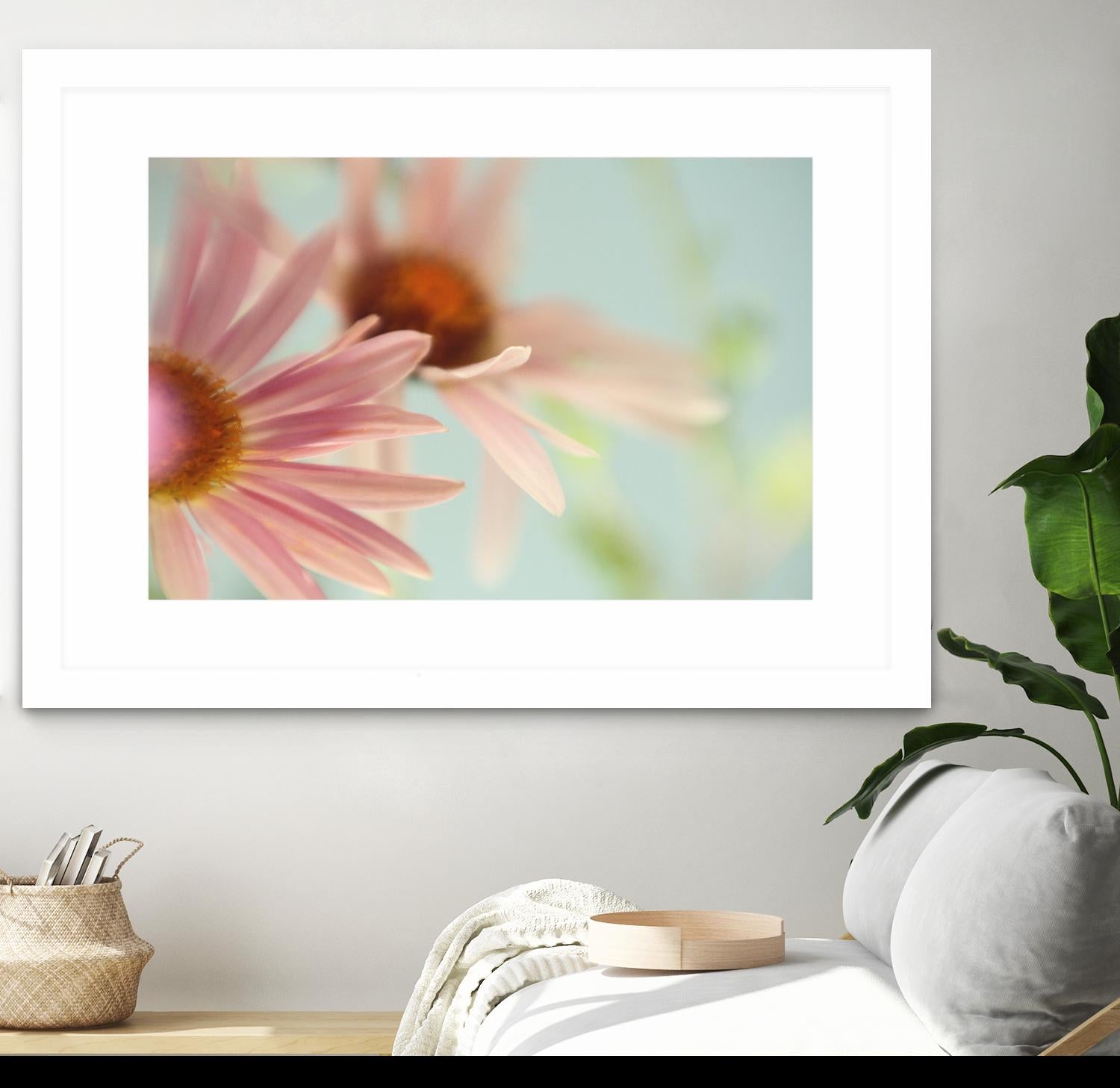 Daisy Days by Judy Stalus on GIANT ART - multicolor photography; floral/still life