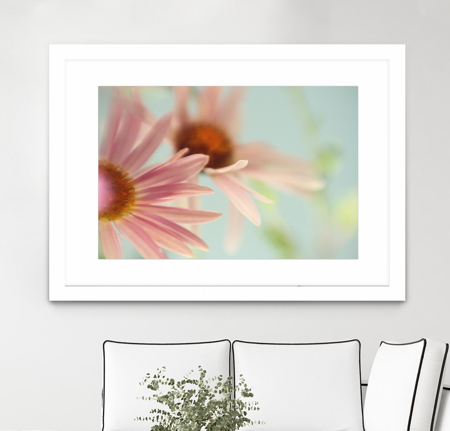 Daisy Days by Judy Stalus on GIANT ART - multicolor photography; floral/still life