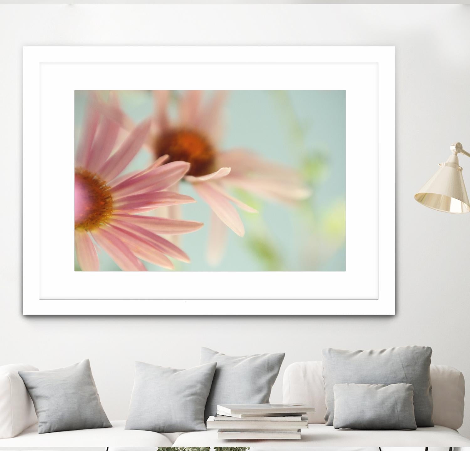 Daisy Days by Judy Stalus on GIANT ART - multicolor photography; floral/still life