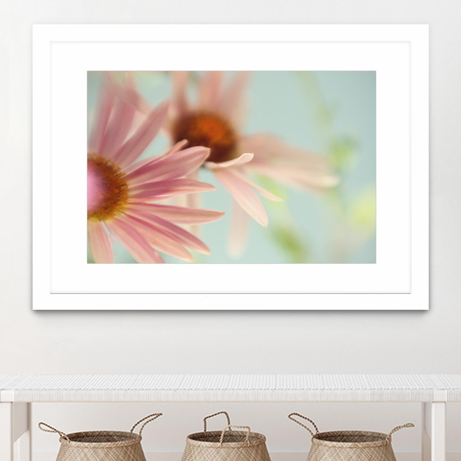 Daisy Days by Judy Stalus on GIANT ART - multicolor photography; floral/still life