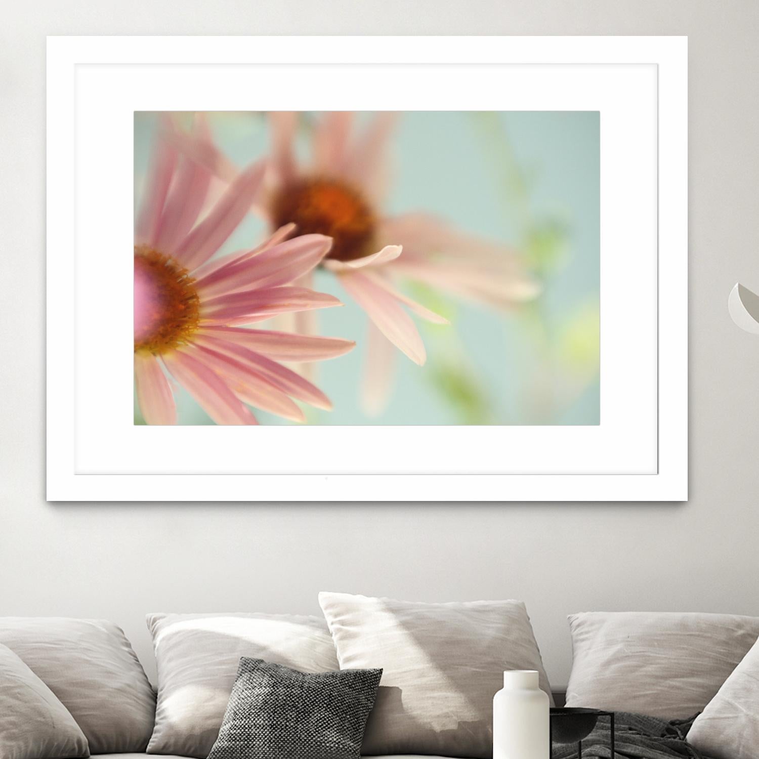 Daisy Days by Judy Stalus on GIANT ART - multicolor photography; floral/still life