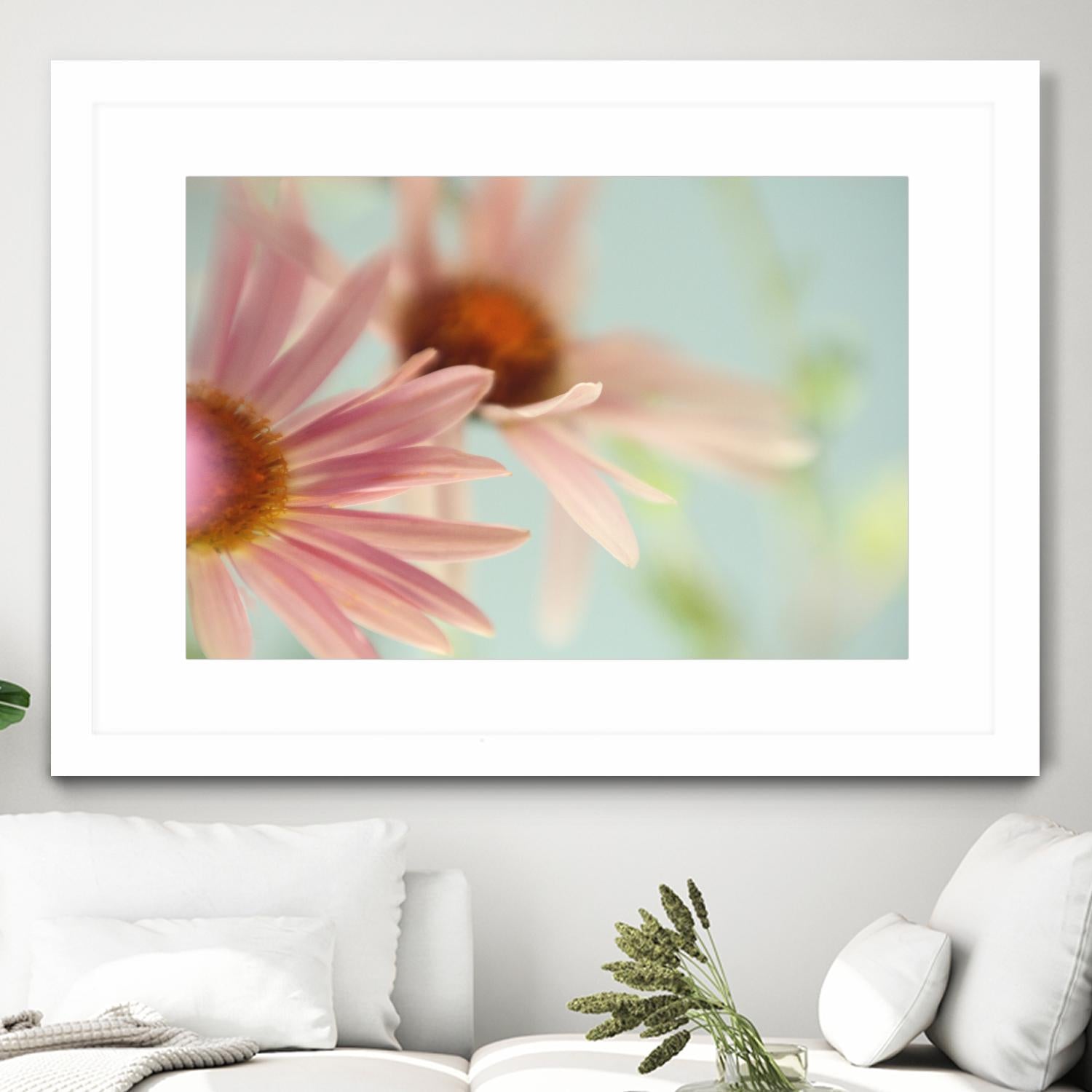 Daisy Days by Judy Stalus on GIANT ART - multicolor photography; floral/still life