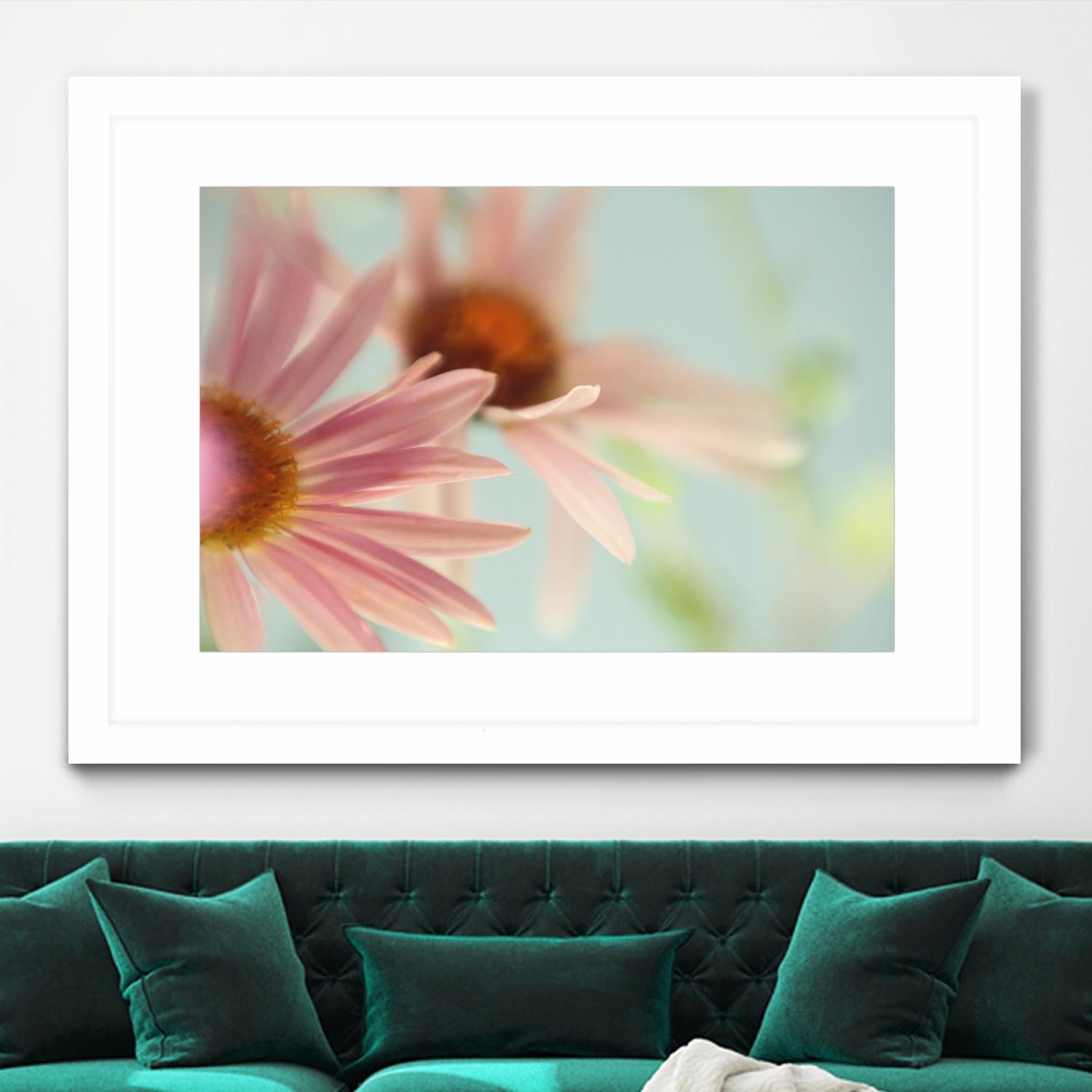 Daisy Days by Judy Stalus on GIANT ART - multicolor photography; floral/still life