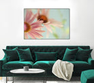 Daisy Days by Judy Stalus on GIANT ART - multicolor photography; floral/still life