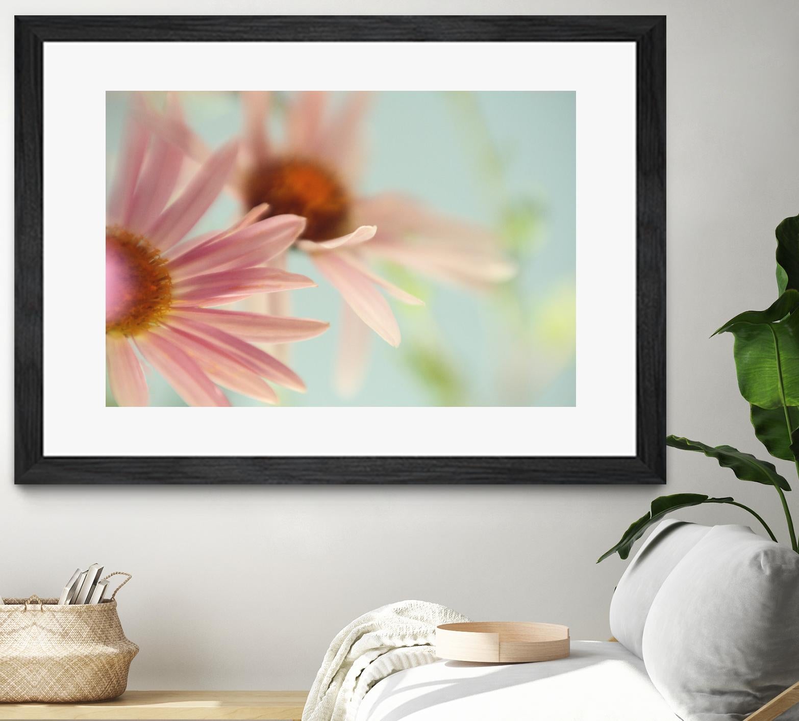 Daisy Days by Judy Stalus on GIANT ART - multicolor photography; floral/still life