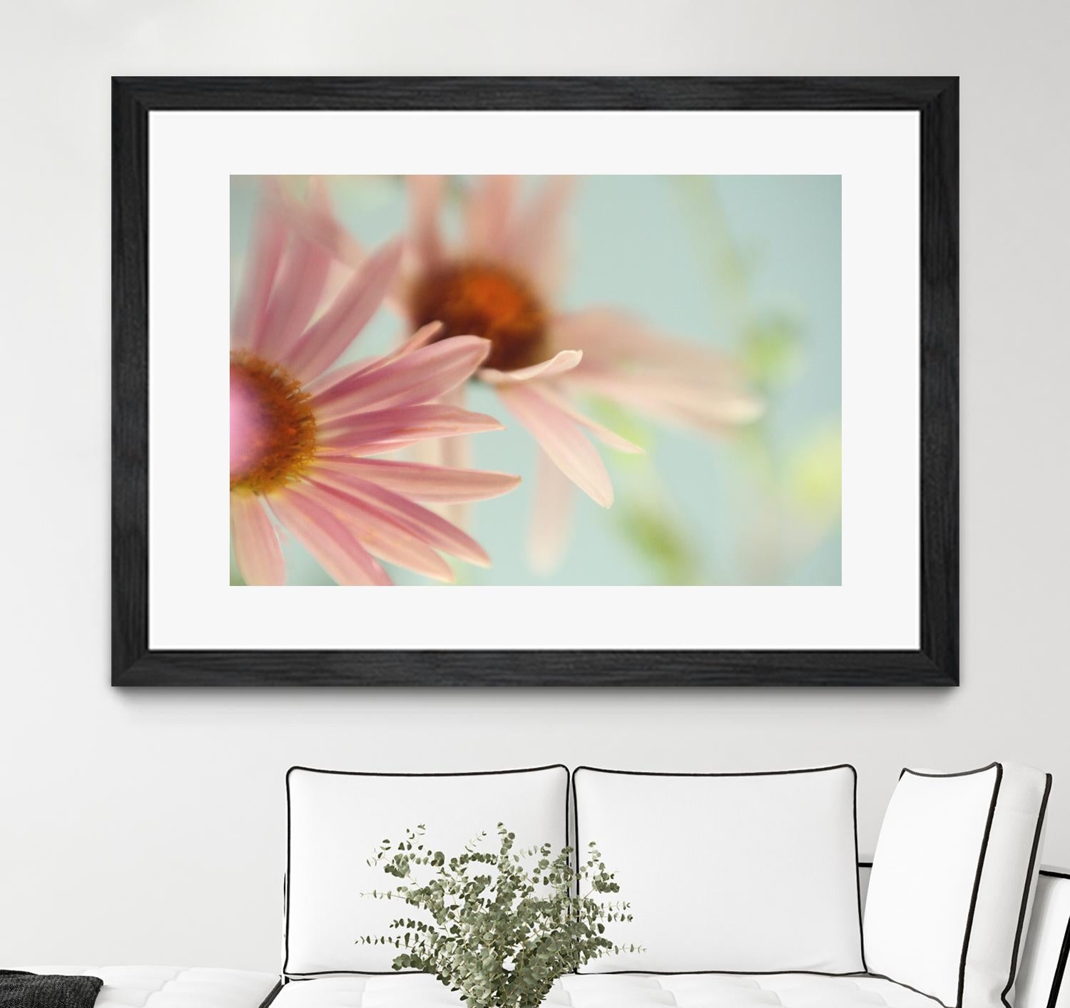 Daisy Days by Judy Stalus on GIANT ART - multicolor photography; floral/still life