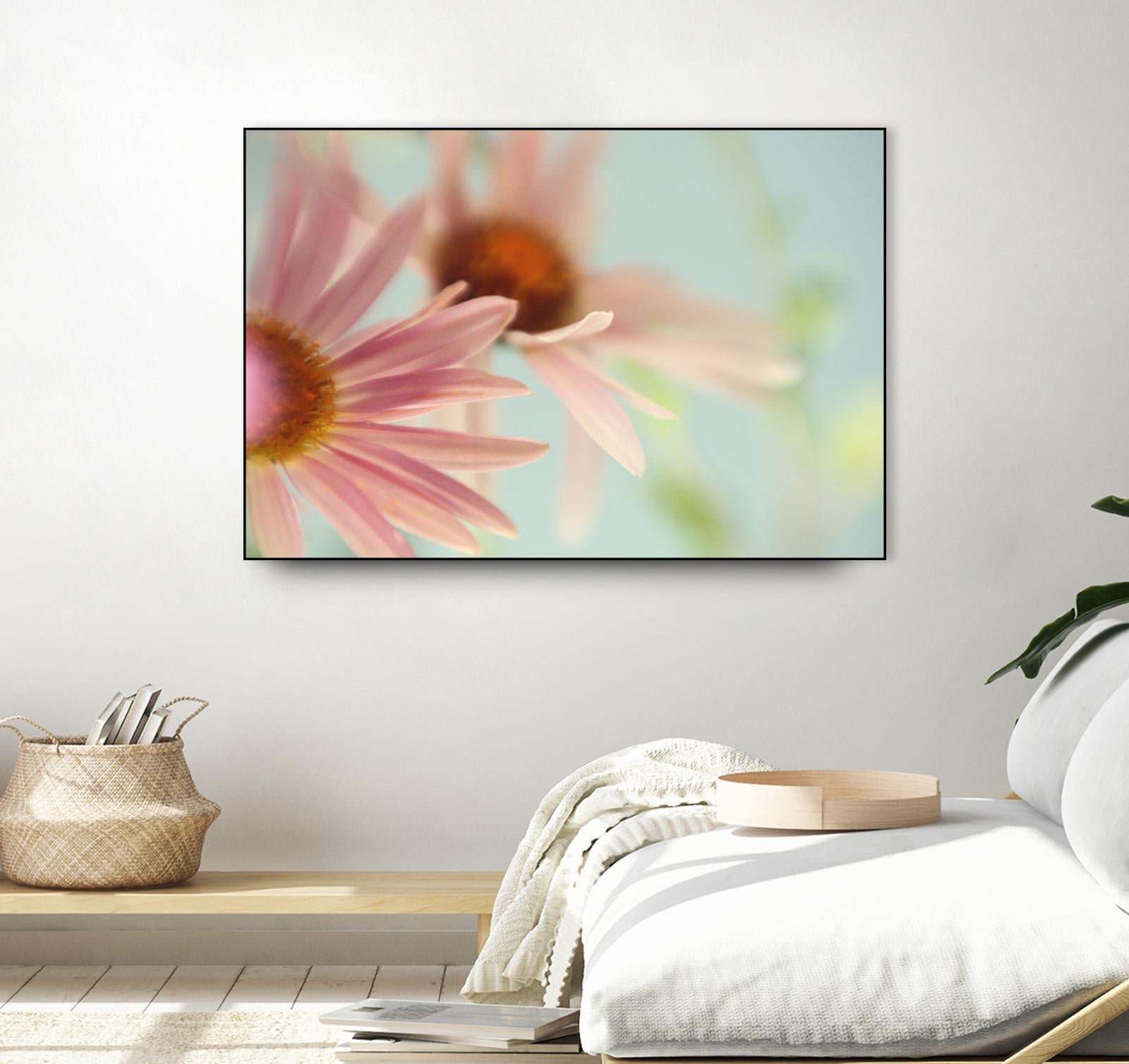 Daisy Days by Judy Stalus on GIANT ART - multicolor photography; floral/still life
