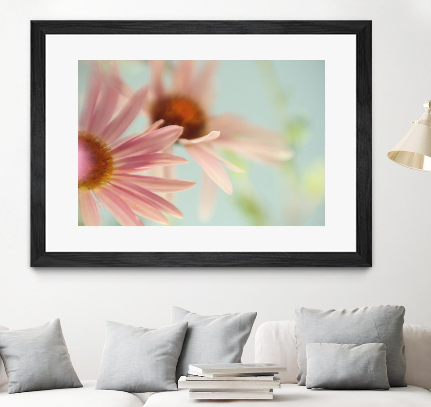 Daisy Days by Judy Stalus on GIANT ART - multicolor photography; floral/still life