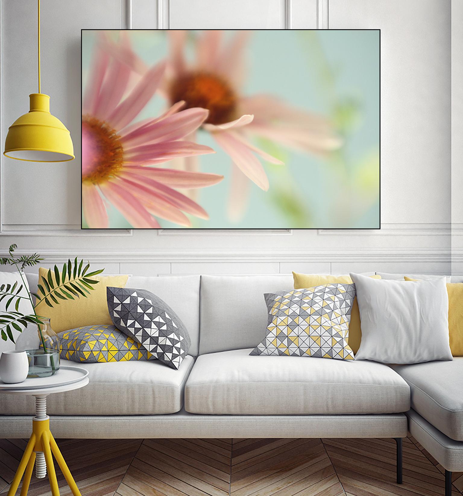 Daisy Days by Judy Stalus on GIANT ART - multicolor photography; floral/still life