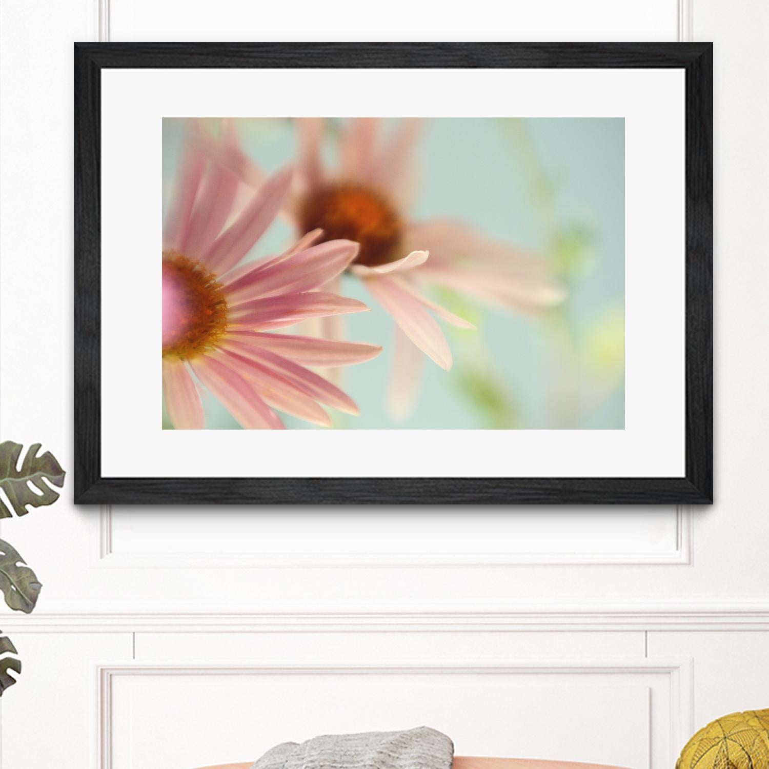 Daisy Days by Judy Stalus on GIANT ART - multicolor photography; floral/still life