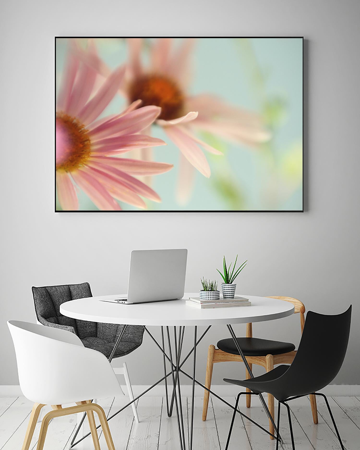 Daisy Days by Judy Stalus on GIANT ART - multicolor photography; floral/still life