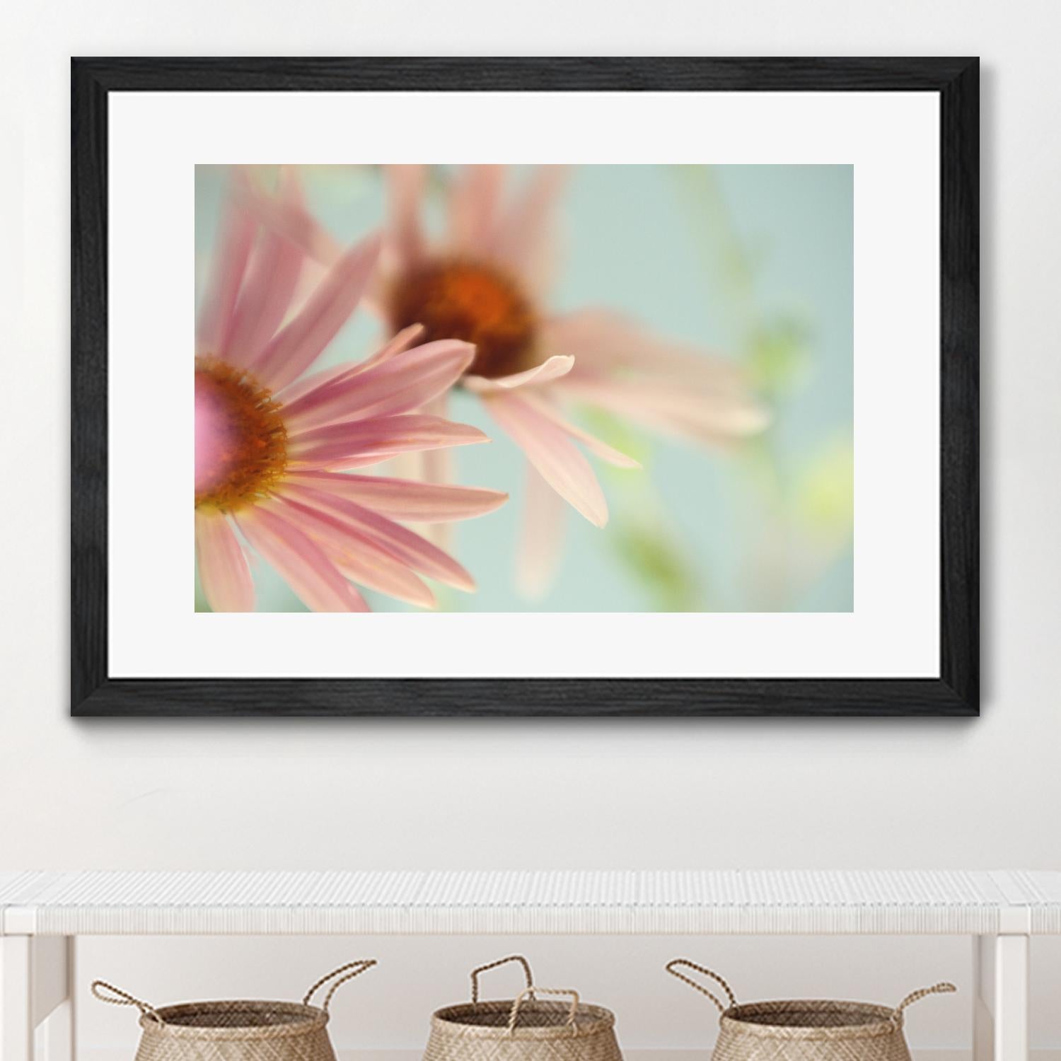 Daisy Days by Judy Stalus on GIANT ART - multicolor photography; floral/still life
