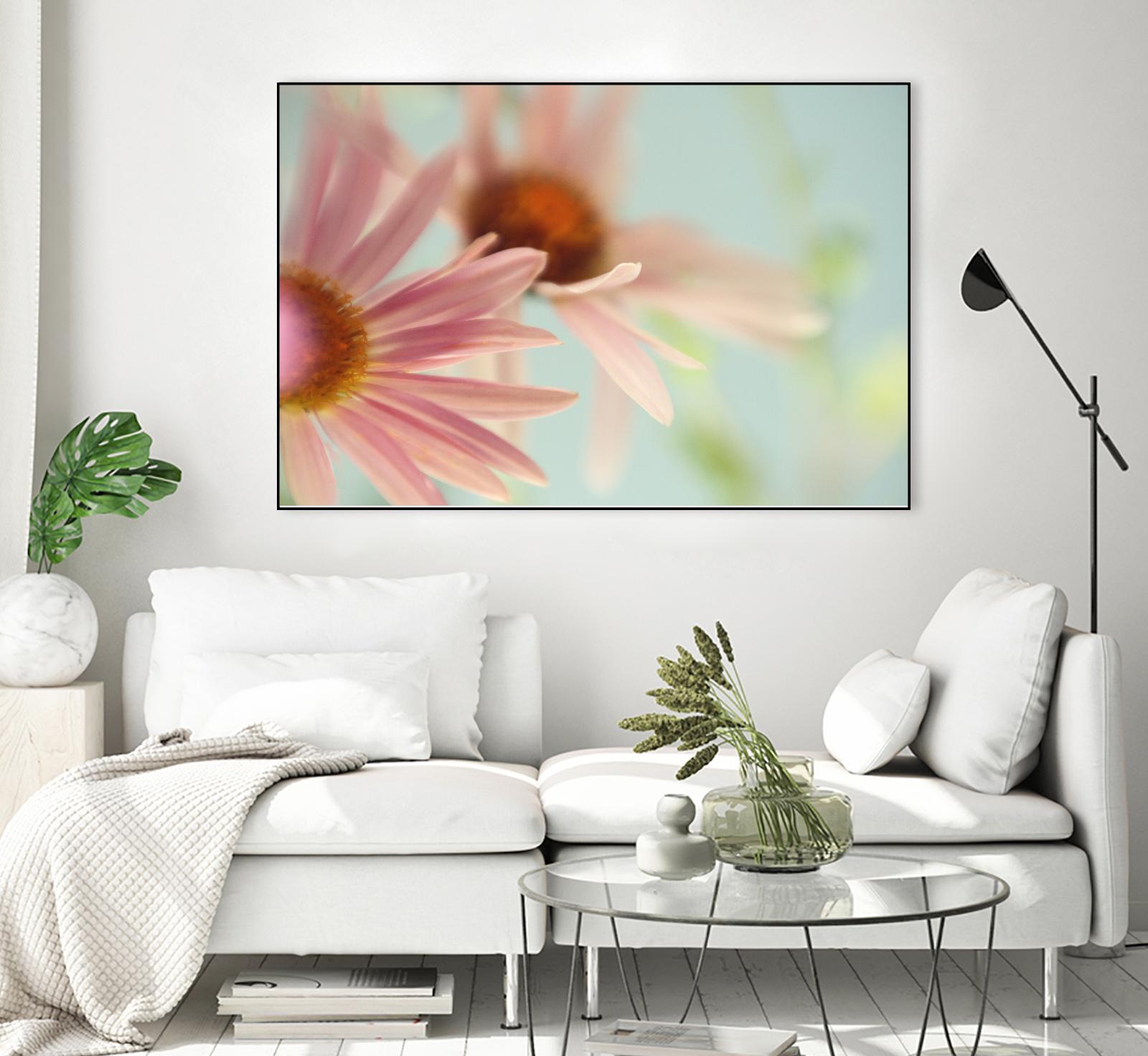 Daisy Days by Judy Stalus on GIANT ART - multicolor photography; floral/still life