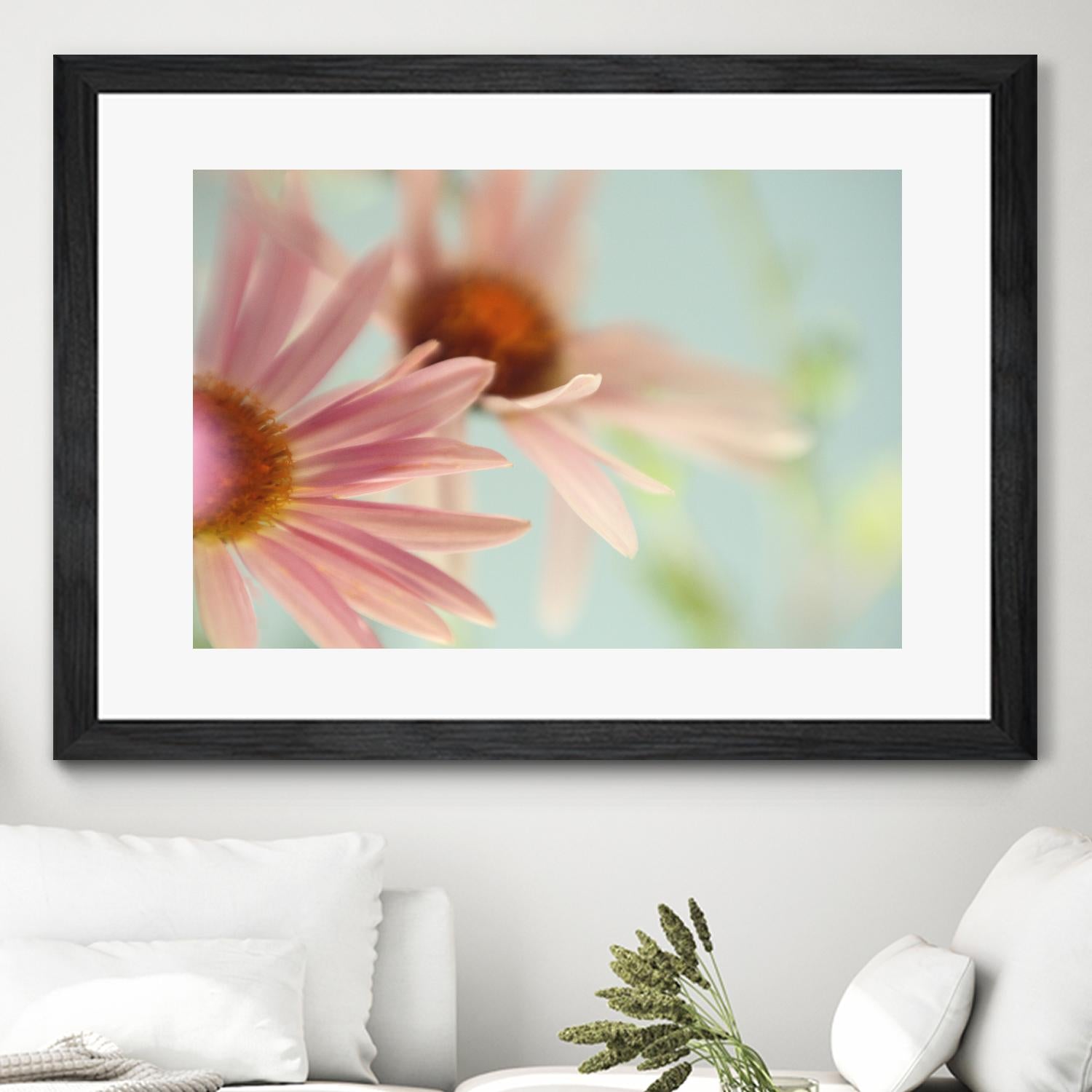 Daisy Days by Judy Stalus on GIANT ART - multicolor photography; floral/still life