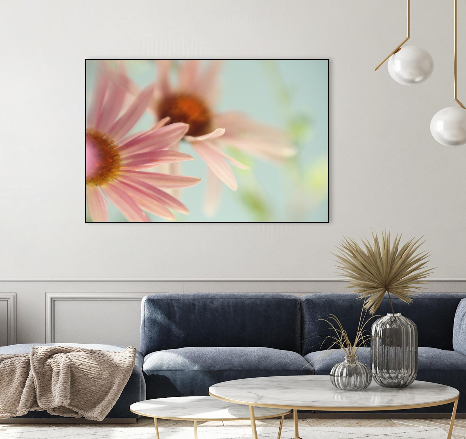 Daisy Days by Judy Stalus on GIANT ART - multicolor photography; floral/still life