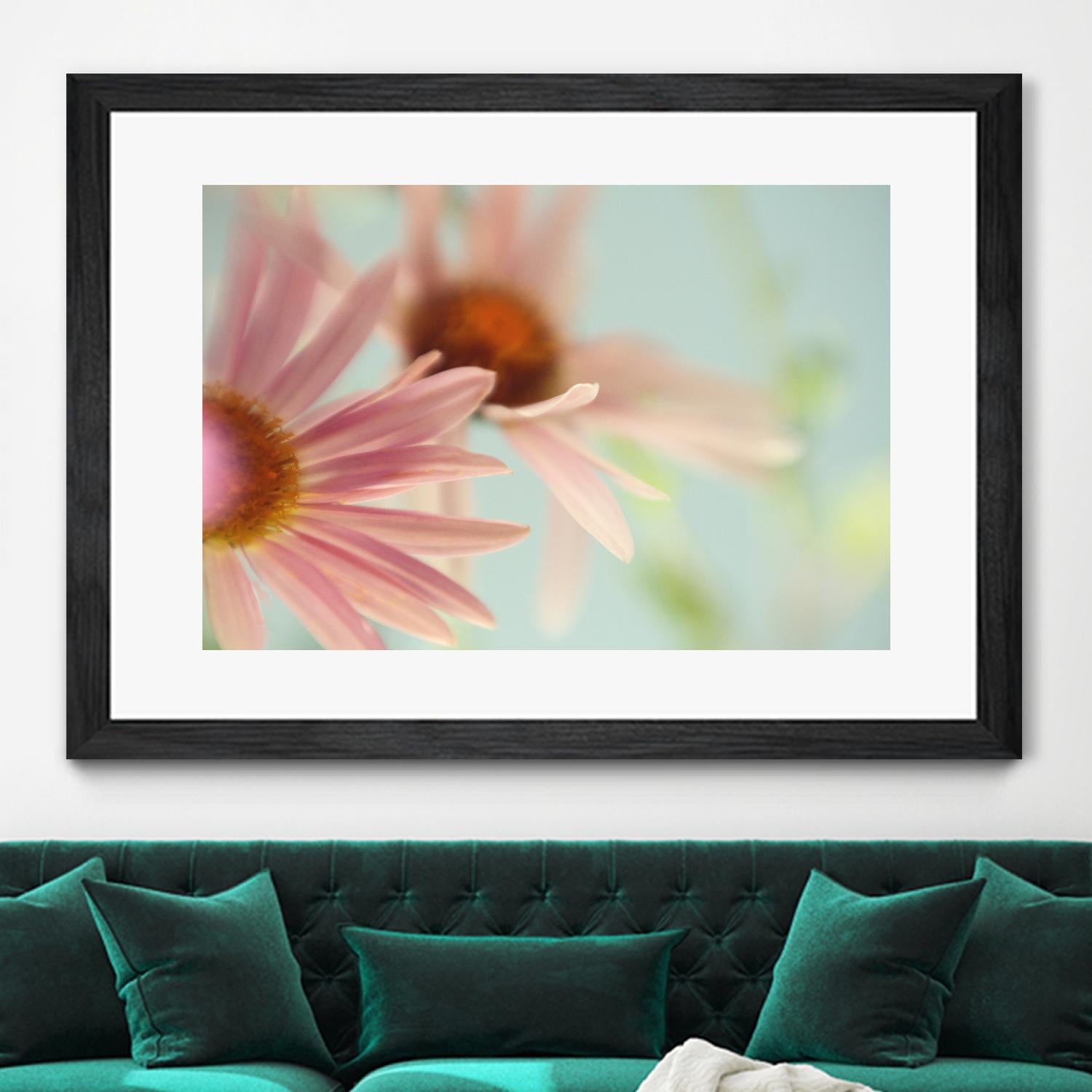 Daisy Days by Judy Stalus on GIANT ART - multicolor photography; floral/still life