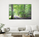 Frenzy Green by Anne Schneidersmann on GIANT ART - multicolor photography; landscapes