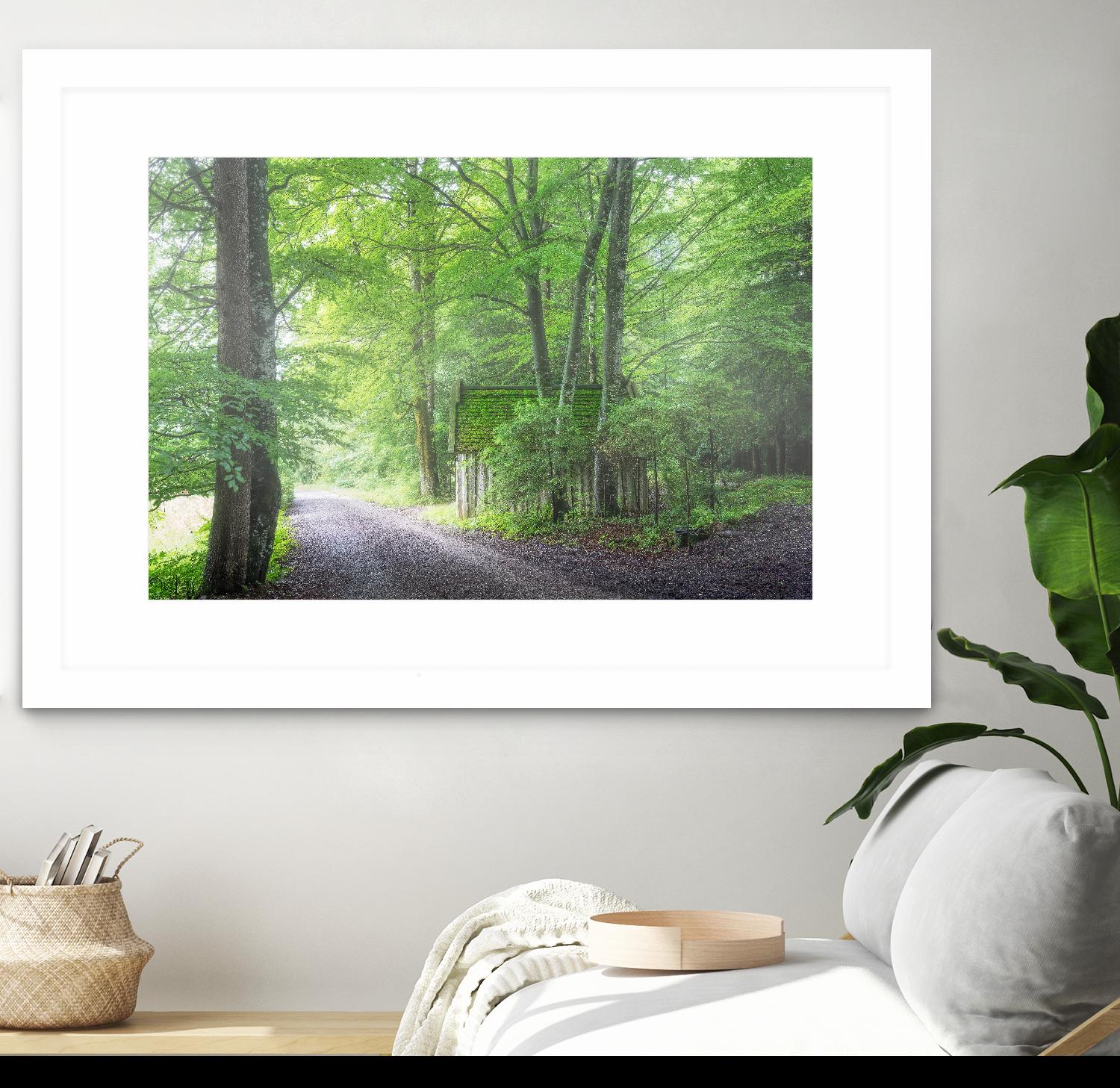 Frenzy Green by Anne Schneidersmann on GIANT ART - multicolor photography; landscapes