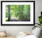 Frenzy Green by Anne Schneidersmann on GIANT ART - multicolor photography; landscapes