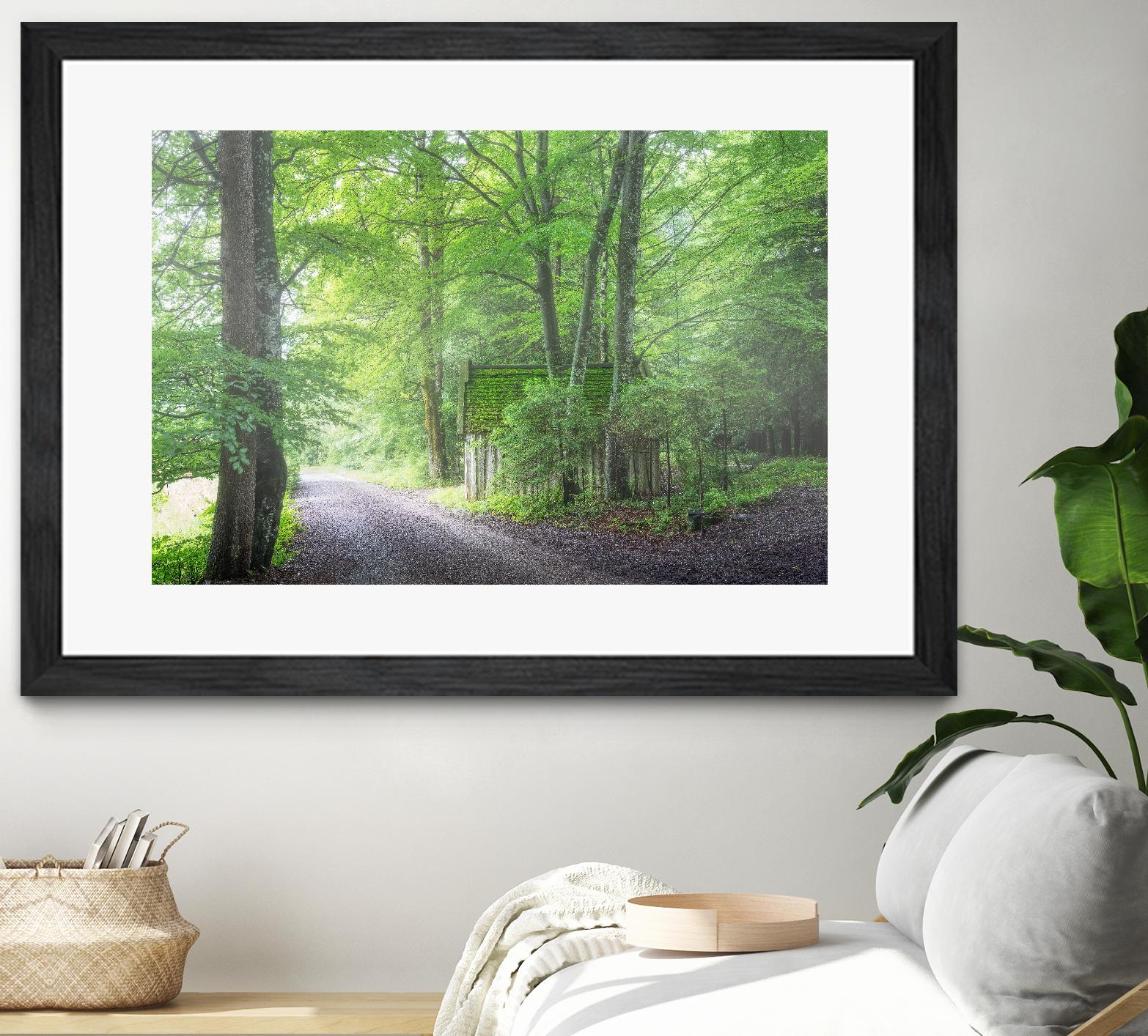 Frenzy Green by Anne Schneidersmann on GIANT ART - multicolor photography; landscapes