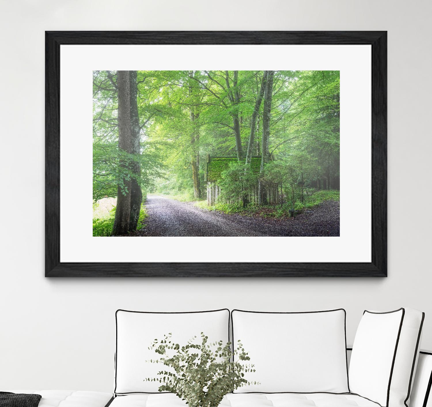 Frenzy Green by Anne Schneidersmann on GIANT ART - multicolor photography; landscapes