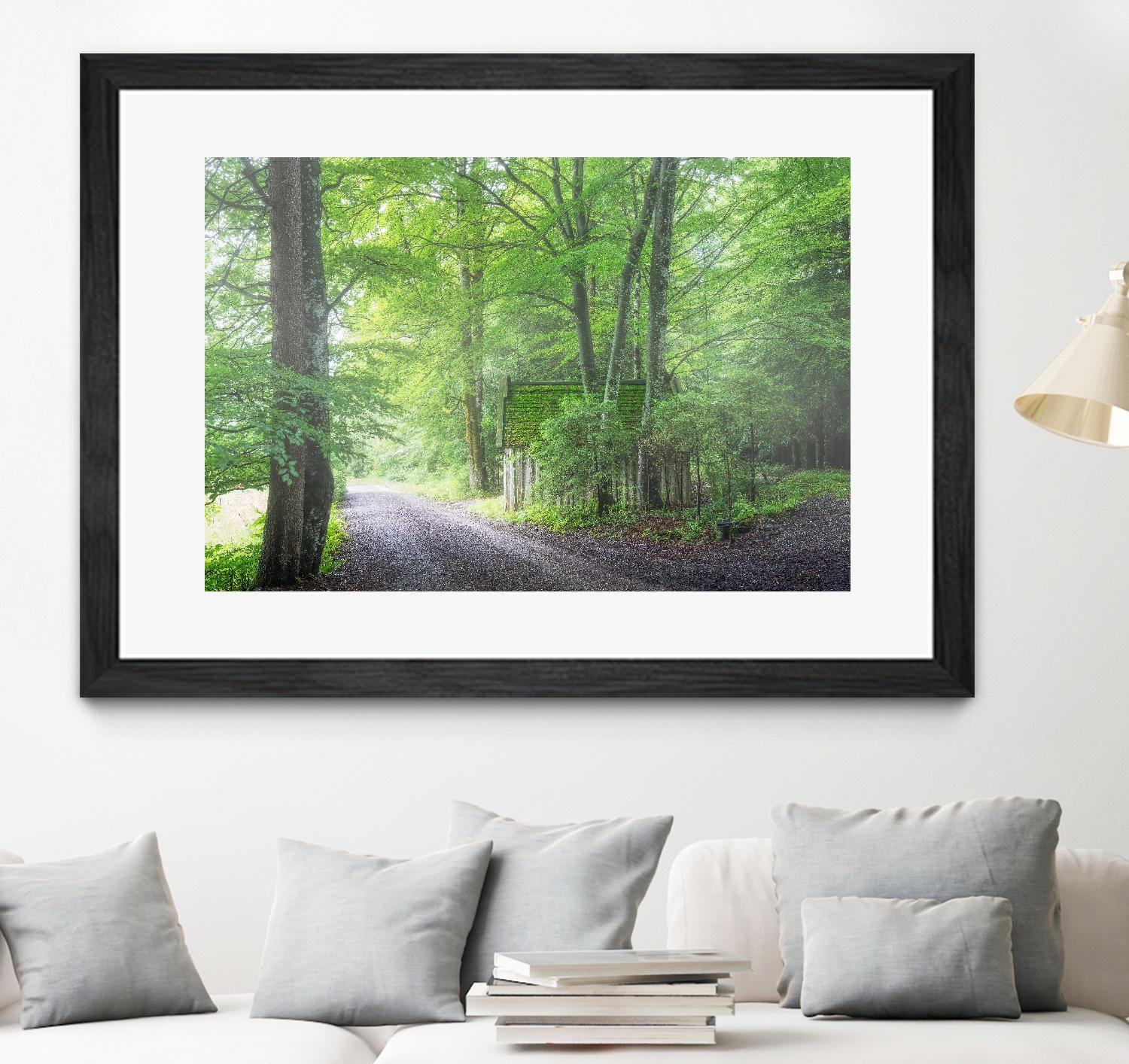 Frenzy Green by Anne Schneidersmann on GIANT ART - multicolor photography; landscapes